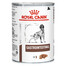 ROYAL CANIN Dog gastro intestinal: aliments humides pour chiens souffrant de troubles gastro-intestinaux 24 x 400 g