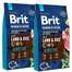 BRIT Premium By Nature Sensitive Lamb 16 kg (2 x 8 kg)