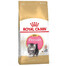 ROYAL CANIN Kitten persan: croquettes pour chatons de race persane jusqu'à 12 mois 2 x 2 kg