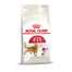ROYAL CANIN REGULAR FIT 32, croquettes pour chats adultes, favorisant une condition physique optimale 4 x 2 kg