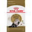 ROYAL CANIN Persian Adult 6 x 400 g, croquettes pour chats adultes de race persane