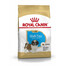 ROYAL CANIN Shih Tzu Puppy Junior, croquettes pour chiots de race Shih Tzu jusqu'à 10 mois, 2 x 1,5 kg
