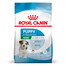 ROYAL CANIN Mini Puppy / Junior, croquettes pour chiots de 2 à 10 mois, races de petite taille, 6 x 800 g