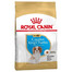 ROYAL CANIN Cavalier King Charles Spaniel Puppy : croquettes pour chiots jusqu'à 10 mois, race Cavalier King Charles Spaniel, 2 x 1,5 kg