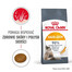 ROYAL CANIN Hair&Skin Care, croquettes pour chats adultes, pour un pelage brillant et une peau saine 2x2 kg