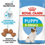 ROYAL CANIN X-Small Puppy junior 4x1.5 kg
