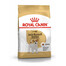 ROYAL CANIN Jack Russell Terrier Adult 4 x 1,5 kg – croquettes pour chiens adultes de race Jack Russell Terrier