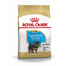 ROYAL CANIN Yorkshire Terrier Puppy Junior, croquettes pour chiots jusqu'à 10 mois, race Yorkshire Terrier, 6 x 0,5 kg