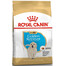 ROYAL CANIN Golden retriever junior 2x1 kg