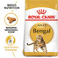 ROYAL CANIN Bengal Adult, croquettes pour chats adultes de race bengale, 2 x 2 kg