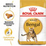 ROYAL CANIN Bengal Adult, croquettes pour chats adultes de race bengale, 8 x 2 kg