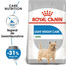 ROYAL CANIN CCN Mini Light Weight Care, croquettes pour chiens adultes de petites races ayant tendance à prendre du poids, 2 x 1 kg