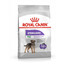 ROYAL CANIN CCN Mini Sterilised : croquettes pour chiens adultes de petite race stérilisés, 4 x 1 kg
