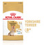ROYAL CANIN Yorkshire Terrier 8+ Adult 2 x 1,5 kg : croquettes pour chiens adultes de race Yorkshire Terrier âgés de plus de 8 ans