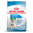 ROYAL CANIN Mini Starter Mother & Babydog 4 x 1 kg : croquettes pour chiennes gestantes et allaitantes, ainsi que pour chiots âgés de 4 à 8 semaines, de petite race