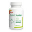 DOLFOS Dolvit Junior Plus 90 tab