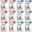 SCHESIR Assortiment pour chat Mix de saveurs 12×85 g (Poulet + Thon)