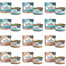 SCHESIR Assortiment pour chat, mélange de saveurs, 12 x 85 g (poulet + thon)