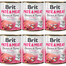 BRIT Pate&Meat puppy 6x800 g pasztet dla szczeniąt