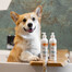 VET EXPERT Detox Care Vitalizing Shampoo 250 ml szampon dla psów i kotów także z matową sierścią
