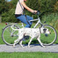 TRIXIE Laisse amortisseur de choc pour faire du vélo et jogging avec son chien