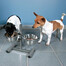 TRIXIE Support réglable avec bols 2X1.8 l