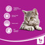 WHISKAS Saumon en sauce 100 g x 24