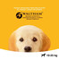 PEDIGREE Vital Protection Junior Croquettes au poulet et au riz pour chiots de taille moyenne 15 kg