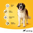 PEDIGREE Vital Protecion Croquettes au bœuf pour grand chien 15 kg