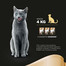SHEBA Selection in Sauce 85 g avec du saumon