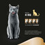 SHEBA Delikato indyk w galaretce 85 g x12