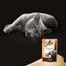 SHEBA Delicacy in Jelly z Indykiem 85g