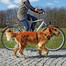 TRIXIE Laisse vélo et jogging pour chiens