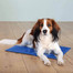 TRIXIE Tapis rafraîchissant 65 × 50 cm bleu