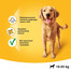 PEDIGREE Dentastix 77 g [CLONE]