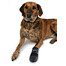TRIXIE Chaussures de protection Walker Care 2 pcs.