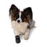 TRIXIE Chaussures de protection Walker Care 2 pcs.