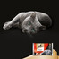 SHEBA Selection in Sauce Soczyste Smaki 24 x 85g