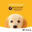 PEDIGREE Junior au poulet pour chiot de taille moyenne avec riz 8,4 kg