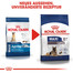 ROYAL CANIN Maxi ageing croquettes pour chiens adultes de plus de 8 ans, grandes races 8+3 kg