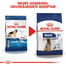 ROYAL CANIN Maxi Adult 5+ nourriture sèche pour chiens âgés de 5 à 8 ans, grandes races 4 kg