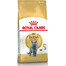 ROYAL CANIN British shorthair 0.4 kg