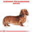 ROYAL CANIN Dachshund adult 0.5 kg nourriture sèche pour chiens teckels adultes
