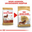 ROYAL CANIN Dachshund adult 0.5 kg nourriture sèche pour chiens teckels adultes