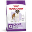 ROYAL CANIN Giant adult croquettes pour chiens adultes, à partir de 18/24 mois, races géantes 15 kg + 3 kg