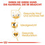 ROYAL CANIN Cocker adult 3 kg