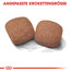 ROYAL CANIN Giant adult croquettes pour chiens adultes, à partir de 18/24 mois, races géantes 15 kg + 3 kg