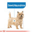 ROYAL CANIN Mini light weight care 1 kg - croquettes pour chiens adultes, petites races sujettes au surpoids