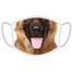FERA Masque de protection berger allemand