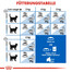 ROYAL CANIN Indoor long hair 35 4 kg nourriture sèche pour chats adultes à poils longs, exclusivement à l'intérieur